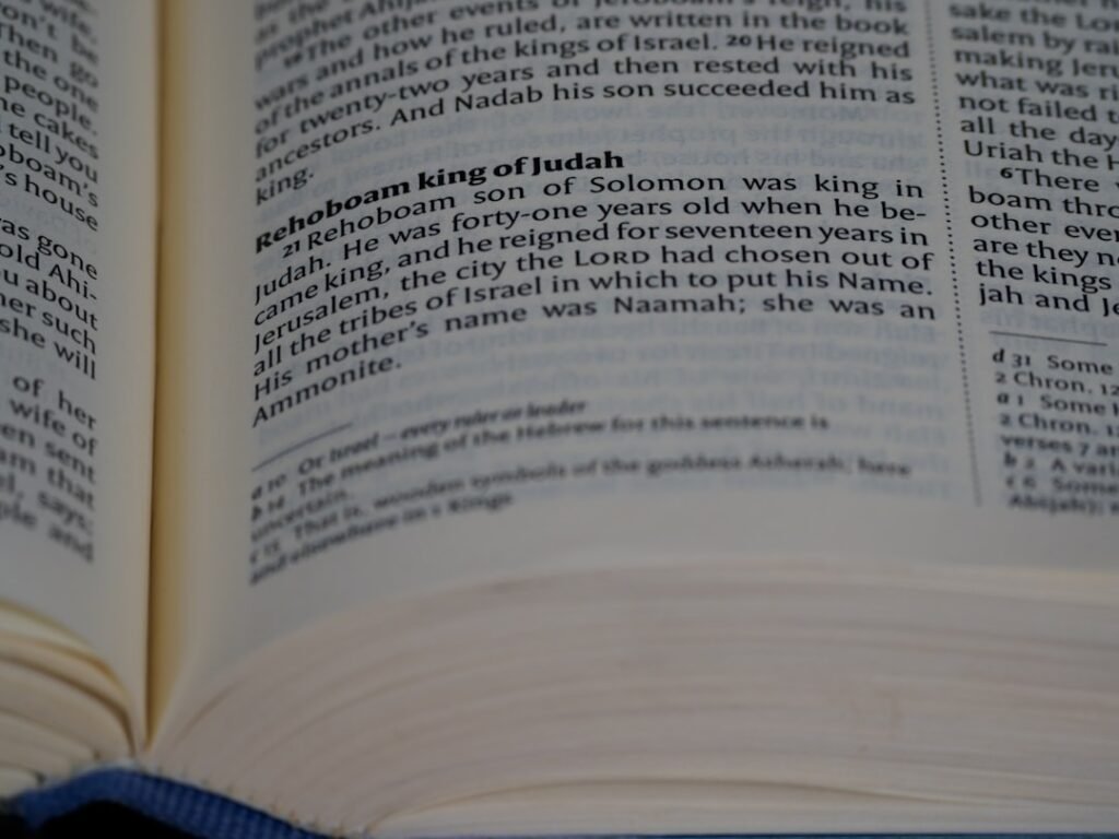 Photo Nynorsk reading skills