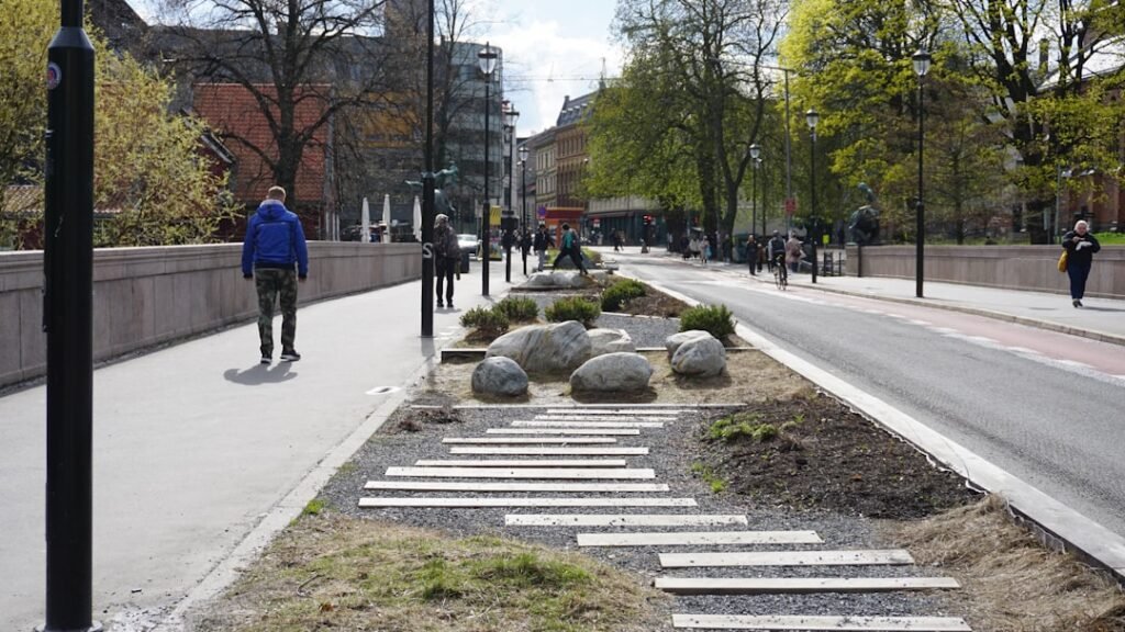 Photo oslo summer